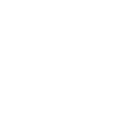 Picture of Blog